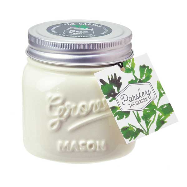 Noted Mason Jar Garden Planter
